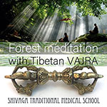ヒーラー体験：ヴァジュラ森林瞑想

