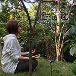 TTMA施設で森林瞑想無料